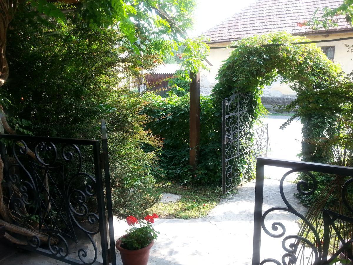 Bed and Breakfast Felso Fogado Felsotold Екстер'єр фото