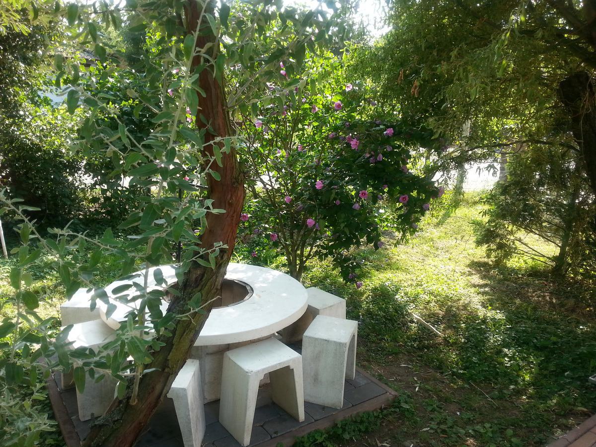 Bed and Breakfast Felso Fogado Felsotold Екстер'єр фото