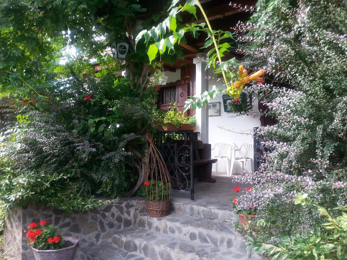 Bed and Breakfast Felso Fogado Felsotold Екстер'єр фото